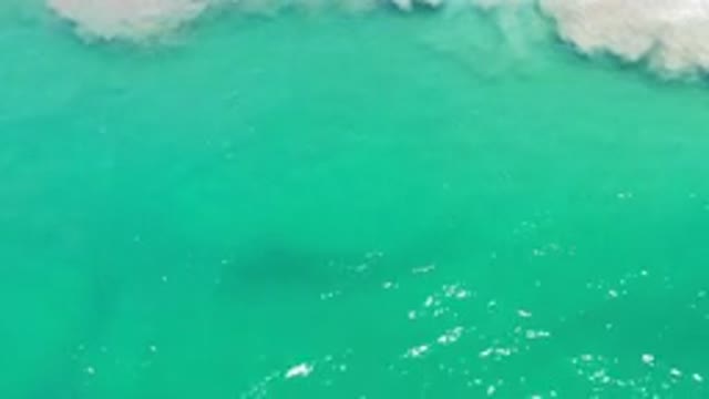 LOS CABOS MEXICO-2020: Clean and Green Deep Sea Water and Light Waves on Loose Sand