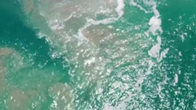 LOS CABOS MEXICO-2020: Debris In The Emerald Green Ocean Reflecting The Bright