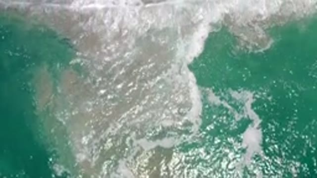 LOS CABOS MEXICO-2020: Green Sea Full of Bubble Foams