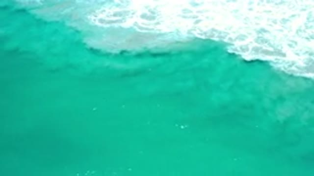 LOS CABOS MEXICO-2020: View of a Great Green Sea