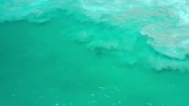 LOS CABOS MEXICO-2020: Possible Mermaid Sighting Spotted Off Coast