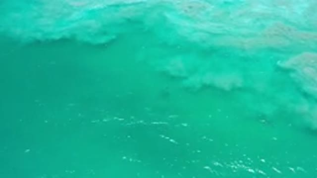LOS CABOS MEXICO-2020: Green Sea And Slow Waves
