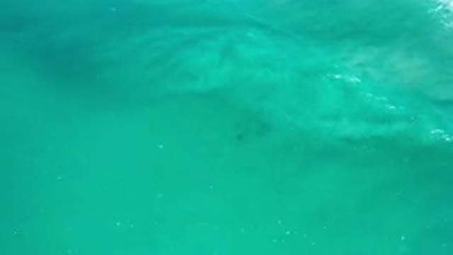 LOS CABOS MEXICO-2020: Small Wave Moves Through A Bright Green Ocean On A Sunny