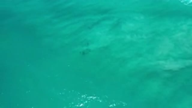 LOS CABOS MEXICO-2020: The Top View Of The Blue Sea With Nice Waves