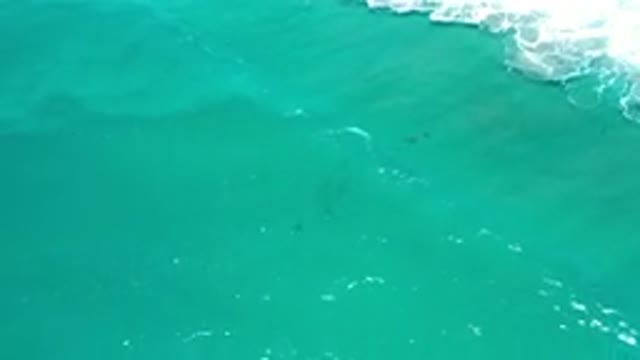 LOS CABOS MEXICO-2020: Amazing And Beautiful Footage Of Waves And Crystal Clear Water