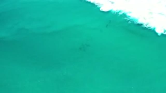 LOS CABOS MEXICO-2020: Immense Blue Green Ocean With White Waves Going Away From