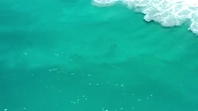 LOS CABOS MEXICO-2020: Light Green Ocean Water Moving With Waves And Crashes