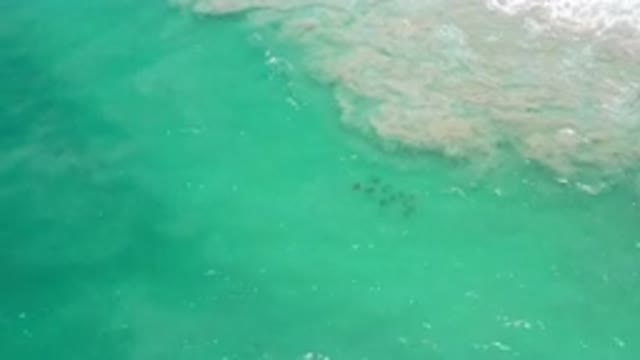 LOS CABOS MEXICO-2020: Most Relaxing Scene of a Green Sea Relaxing by the Shore