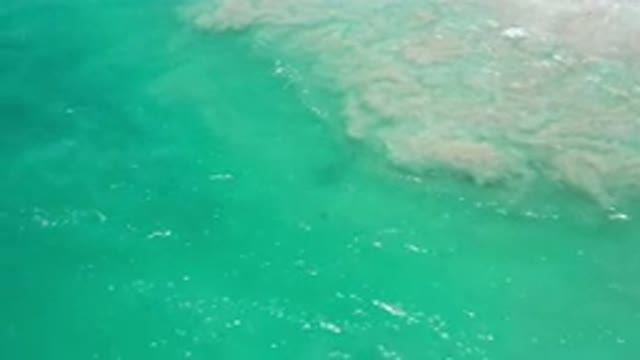 LOS CABOS MEXICO-2020: Cool Foam Formation On The Sea