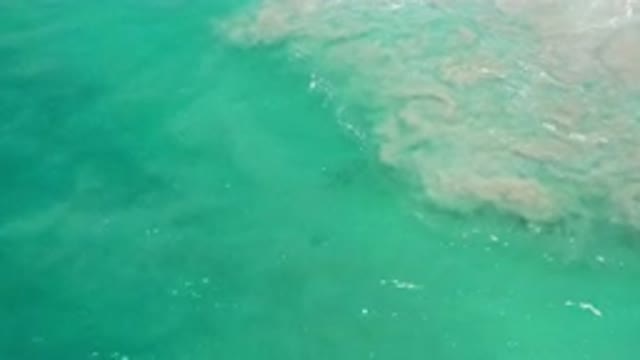 LOS CABOS MEXICO-2020: Active Sea Waves Pass By