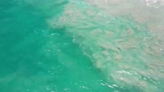 LOS CABOS MEXICO-2020: Long View of Green Sea Water and Coastal Landscape