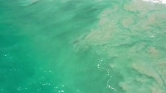 LOS CABOS MEXICO-2020: A Beach Is A Narrow Strip Of Land Separating A Body Of Water