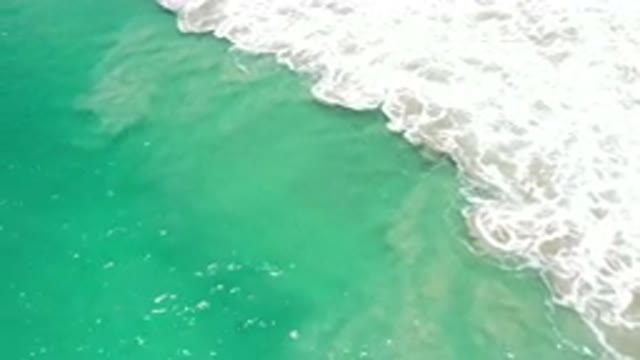LOS CABOS MEXICO-2020: Aerial View Of An Extremely Green And Calm Lake