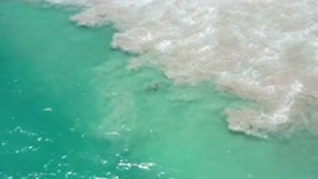 LOS CABOS MEXICO-2020: Everyday Is A Wonderful Day By The Beach