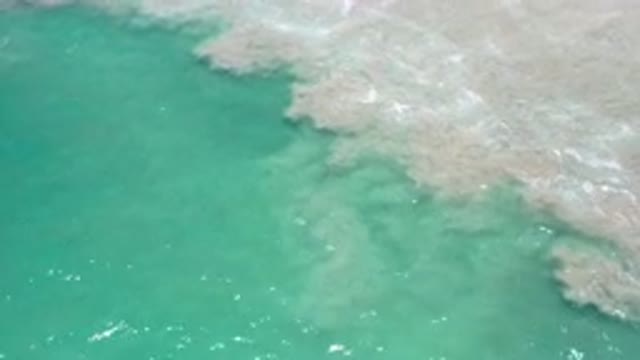 LOS CABOS MEXICO-2020: Fishes Wind Ocean Sea Clean Water Waves Summer Reflect
