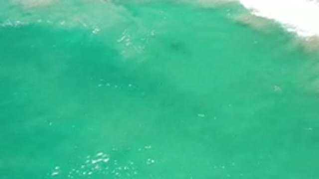 LOS CABOS MEXICO-2020: View of A Green Sea That Uplifts The Mood