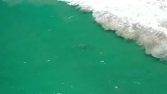 LOS CABOS MEXICO-2020: The Green Waters and Cables of Mexico