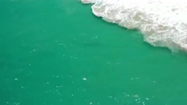 LOS CABOS MEXICO-2020: Waves In A Green Ocean