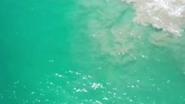 LOS CABOS MEXICO-2020: Crystal Clear Green Sea With Foams