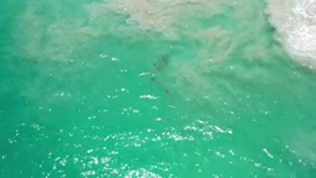 LOS CABOS MEXICO-2020: White Foaming Waves Wash Back