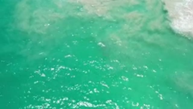 LOS CABOS MEXICO-2020: Our Wonderful Day in Mexico – By The Beach