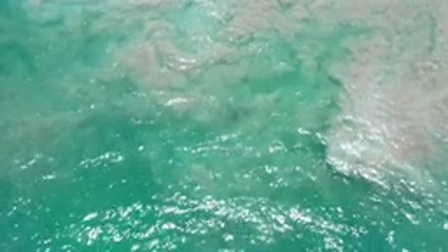 LOS CABOS MEXICO-2020: Shimmering Green Blue Ocean Around A Sandy Rocky Bottom