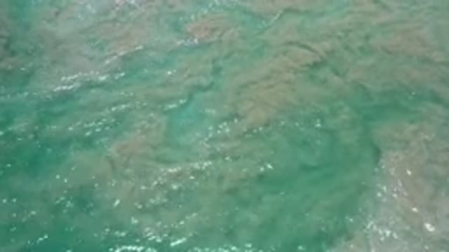 LOS CABOS MEXICO-2020: Sea Rocks Under The Green Sea