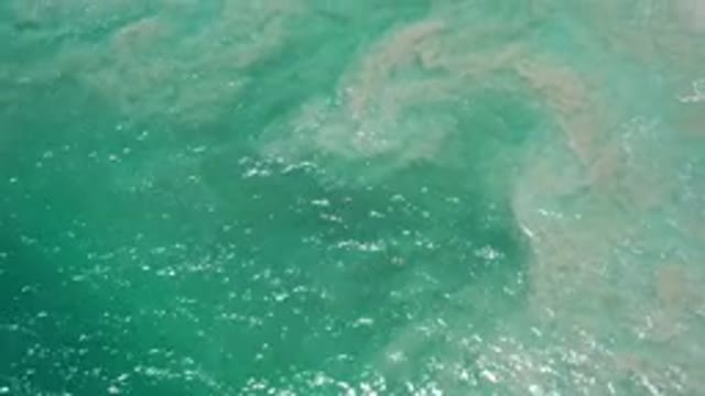 LOS CABOS MEXICO-2020: Gentle Waves Of Green Water Moving Toward The Coast Over