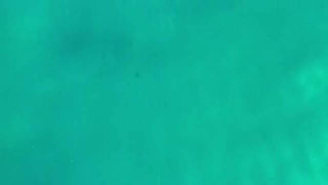 LOS CABOS MEXICO-2020: Unique And Beautiful Footage Of Waves And Crystal Clear Water