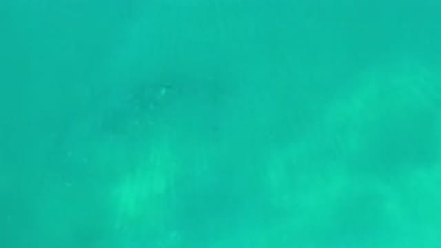 LOS CABOS MEXICO-2020: Middle Of A Beautiful And Calm Ocean With Almost