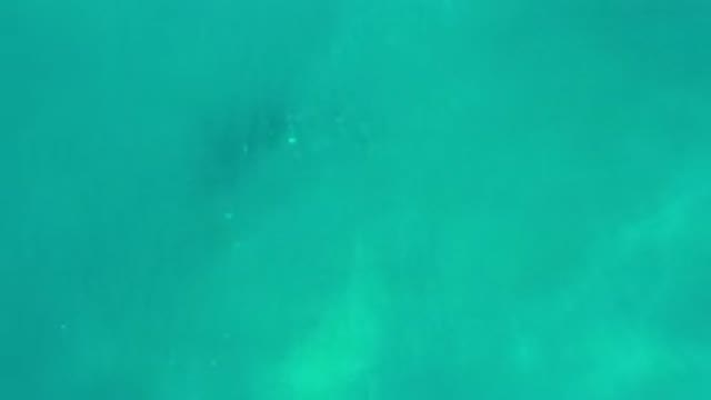 LOS CABOS MEXICO-2020: Aerial View Of An Extremely Green River