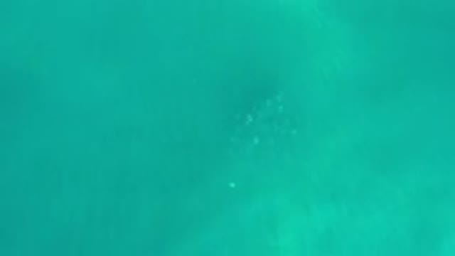 LOS CABOS MEXICO-2020: Brightest Scene of a Green Sea Relaxing His Son