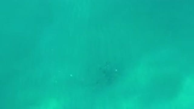 LOS CABOS MEXICO-2020: Blue Green Turquoise Waters With Animal Shadows Moving
