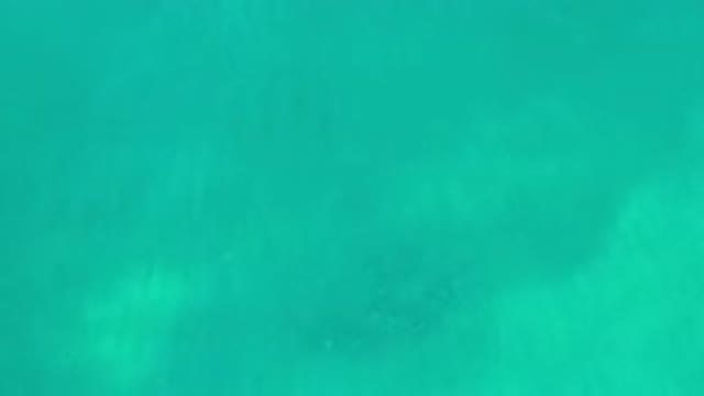 LOS CABOS MEXICO-2020: Greenish Blue Water With Things Inside Sparkling