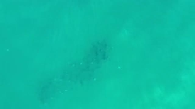 LOS CABOS MEXICO-2020: An Overhead View Of Shallow Green Water Flowing Over A Rocky Bottom