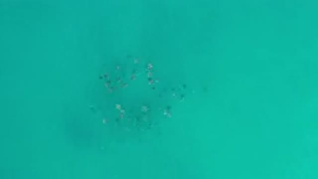 LOS CABOS MEXICO-2020: Artistic Scene of a Green Sea Relaxing My Boss