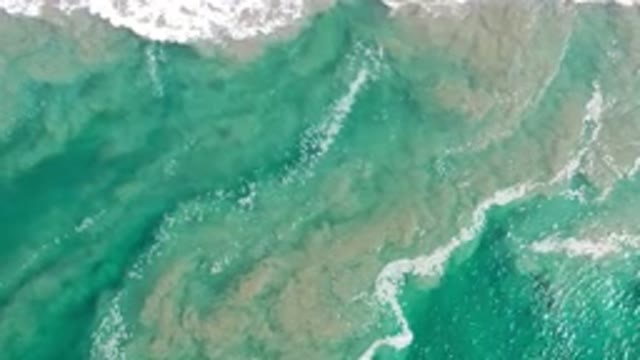 LOS CABOS MEXICO-2020: Amazing View of Sea Bubbles Near The Shore