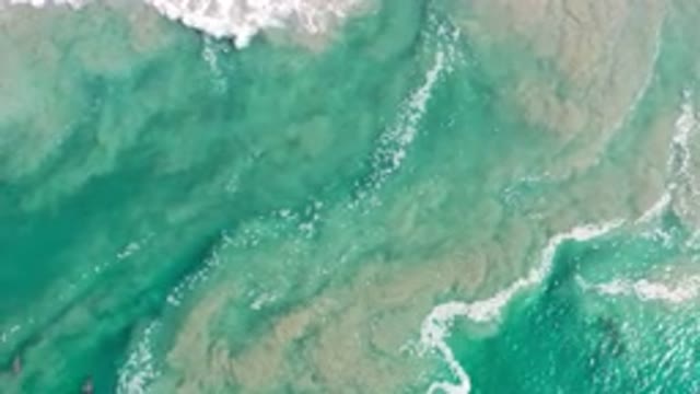 LOS CABOS MEXICO-2020: Seagulls Flying Over A Segment Of Rocky Blue Ocean Water