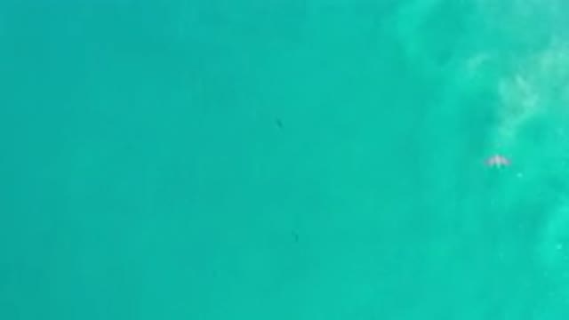 LOS CABOS MEXICO-2020: Beautiful Aerial View Of Green Translucent Sea Waters