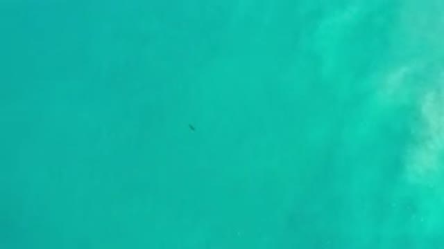 LOS CABOS MEXICO-2020: Footage Of Beautiful Sea With Green Water And Fishes