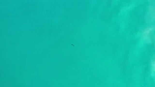 LOS CABOS MEXICO-2020: Unknown Object Moving And Changing Shape Against Blue