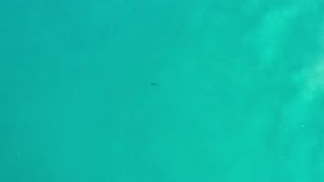 LOS CABOS MEXICO-2020: Scene of a Green Sea Relaxes Me