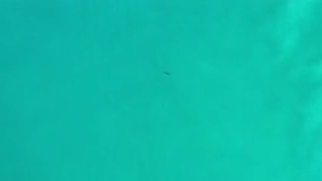 LOS CABOS MEXICO-2020: Fantastic View of a Green Sea Makes Her Happy