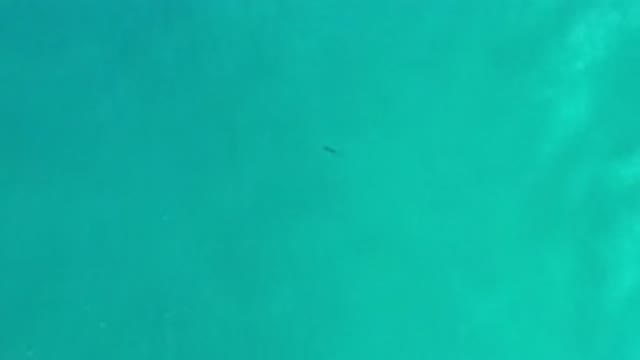 LOS CABOS MEXICO-2020: Grand And Beautiful Footage Of Waves And Crystal Clear