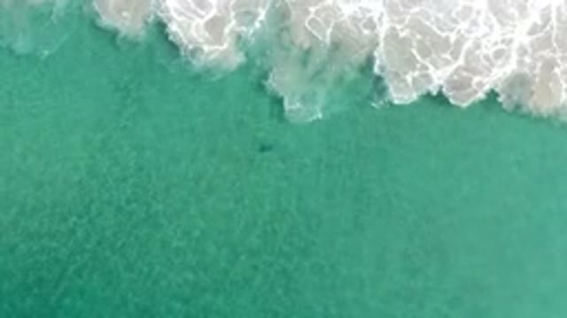 LOS CABOS MEXICO-2020: Green Ocean And White Foam Waves