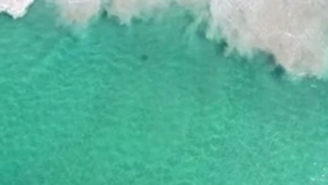 LOS CABOS MEXICO-2020: Green Sea With White Foams