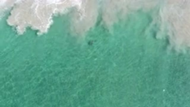 LOS CABOS MEXICO-2020: How Big And Beautiful Nature Is Especially The Ocean And