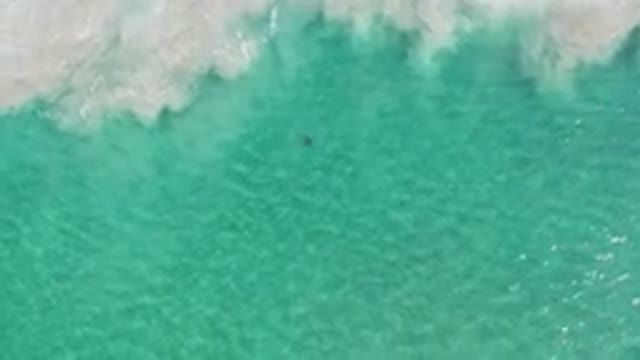 LOS CABOS MEXICO-2020: Beautiful Clear Blue Ocean Water Rolling Toward Shore