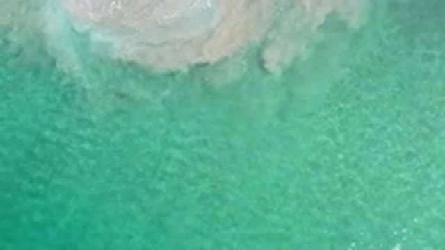 LOS CABOS MEXICO-2020: Whirling Tide Of Crystal Clear Sea With An Animal