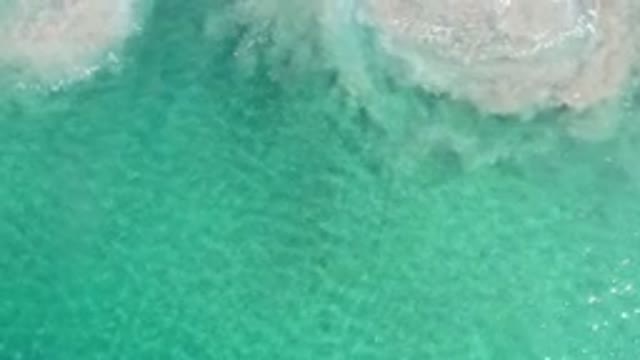 LOS CABOS MEXICO-2020: The Compelling Mysteries Challenging Environments And Marine Life